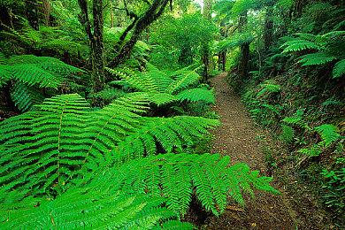 《碧蓝幻想Versus：崛起》宣布第二次B测 11月10日开启